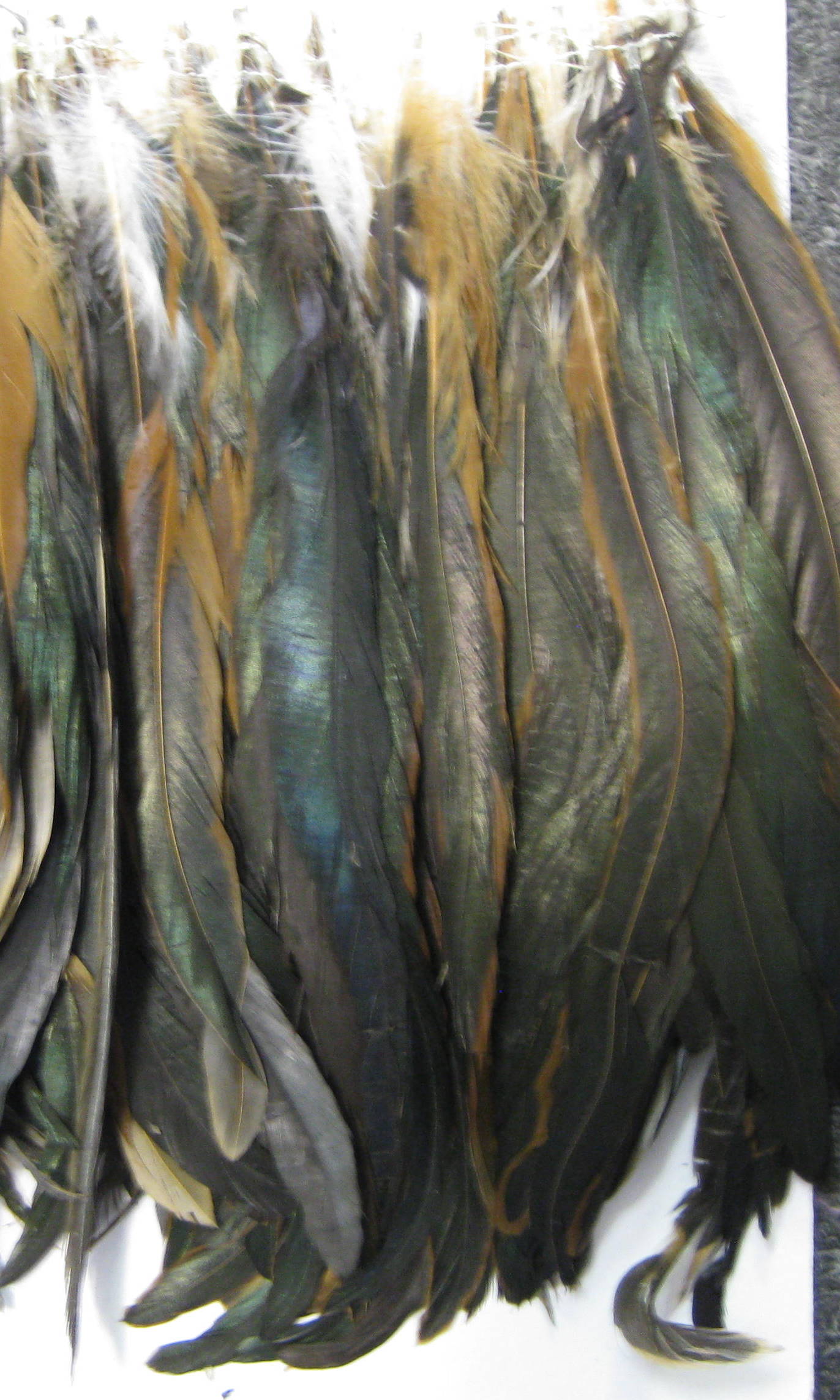 COCK FEATHER COCK FEATHER